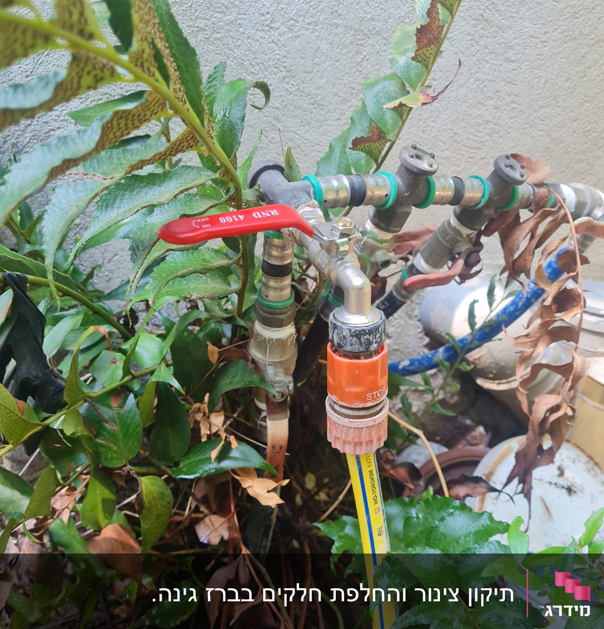 ברז מים עם צינור מחובר בגינה